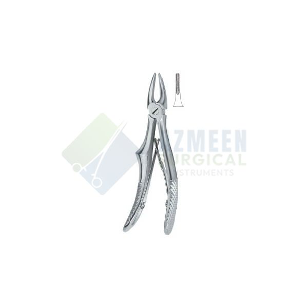 Incisors and cuspids 137