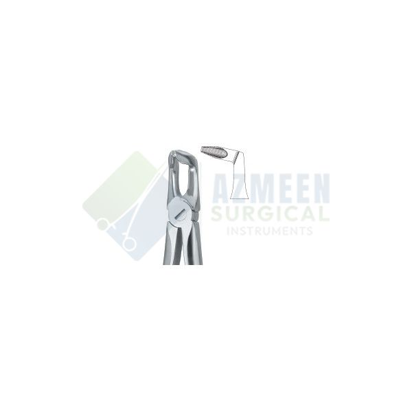 Third Molars ,Deep Gripping 79N